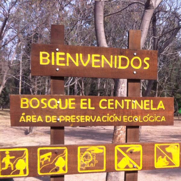 Bosque Centinela